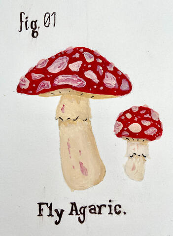 Mushrooms: Fly Agaric (2020)